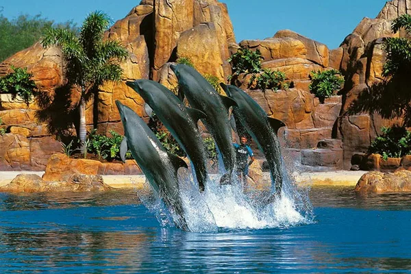 Отдых с детьми в Австралии. Sea World