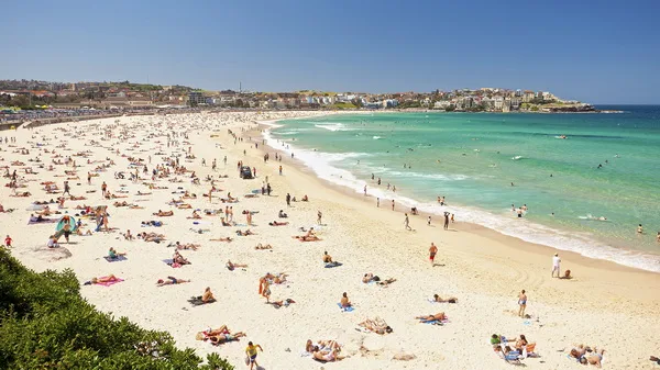 Manly Beach, Сидней, Австралия Австралия с детьми. Пляжи Сиднея