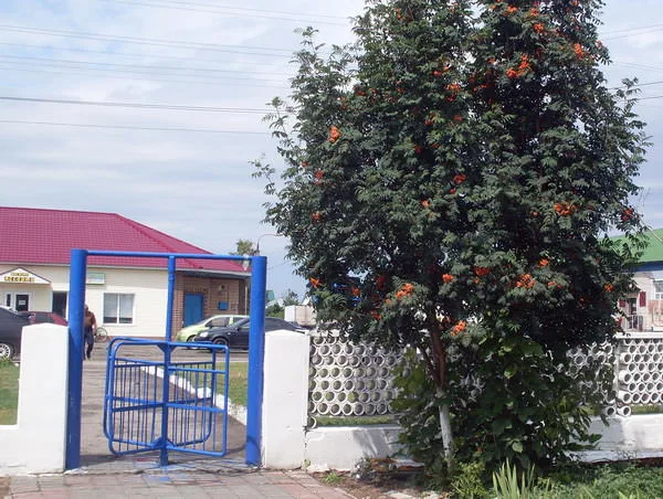 Вход в парк. Станица Преображенская