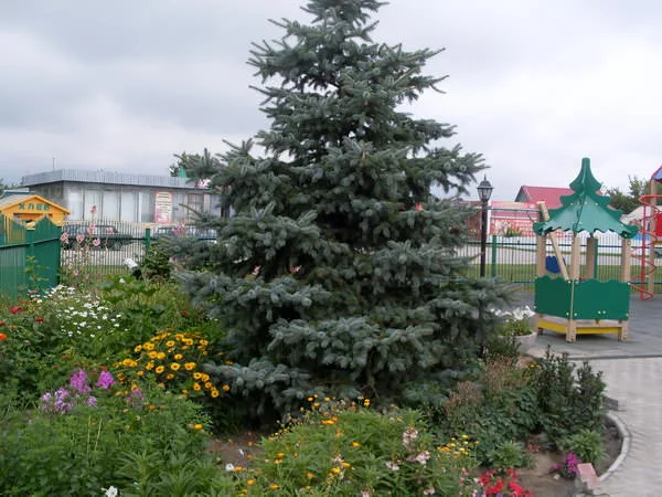 Детский городок у Спасо-Преображенского храма