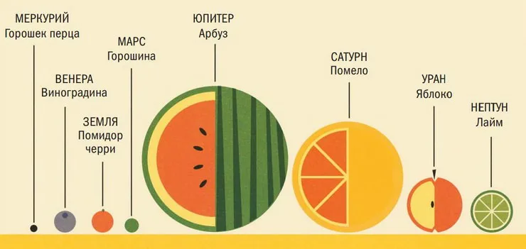 Профессор Астрокот 4