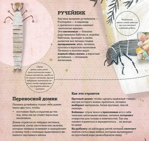 Животные архитекторы 3