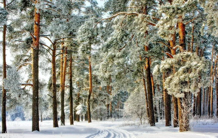 podmoskove-zimoj