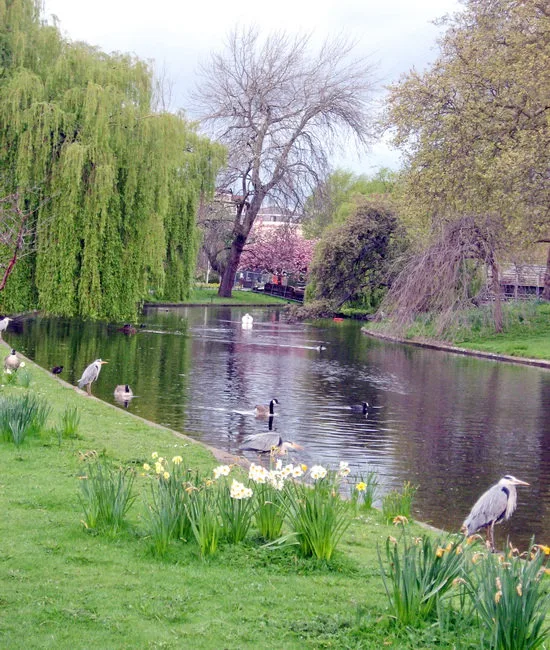 parki-londona