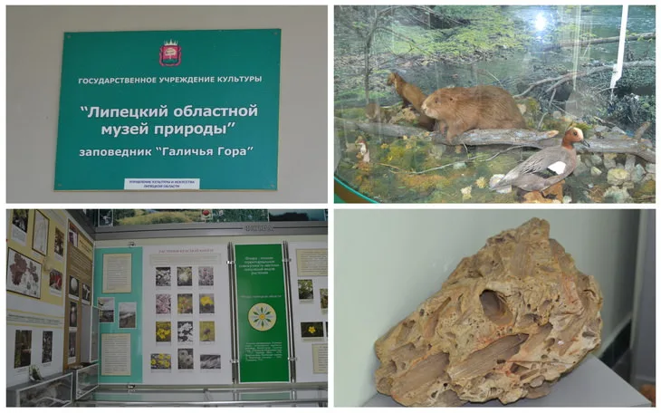 Музей Галичья гора