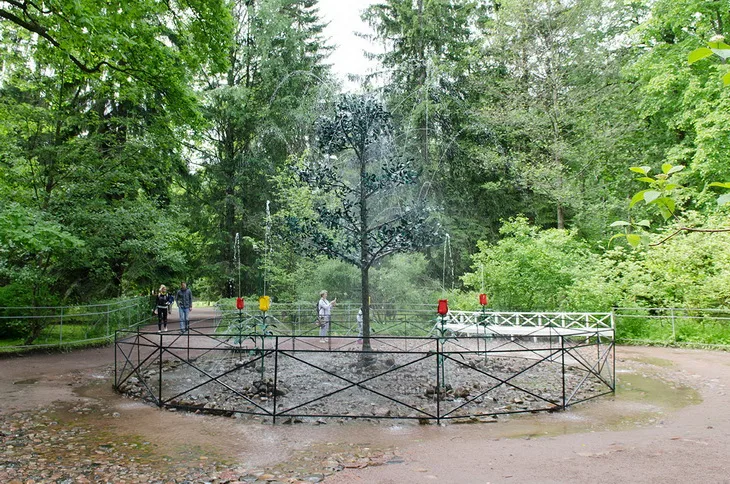«Дубок»